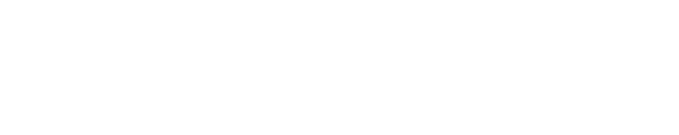 ZippDroid Logo